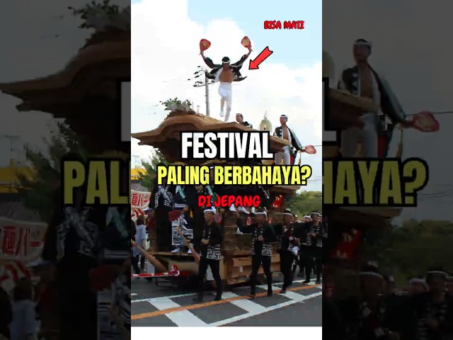 Festival Paling berbahaya di jepang! #infojapan #jepangindonesia #kejepang #budayajepang #nihonskuy