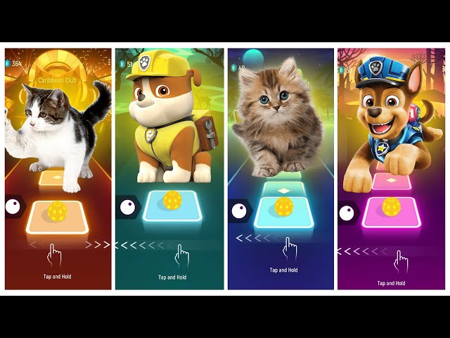 Cute cat Lady Gaga vs Rubble Paw Patrol vs Cute kitty vs Chase Paw Patrol  Tiles Hop EDM Rush!