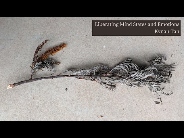 Liberating Mind States and Emotions: 1 - Freedom of the Body (talk and guided meditations)