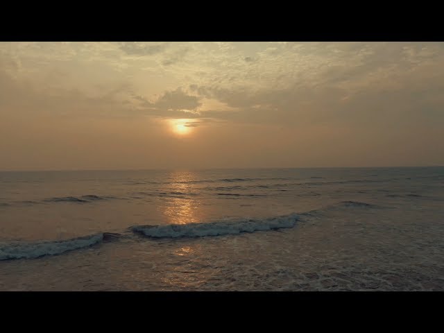 Flying At the Beach- Pinwatta, Sri Lanka