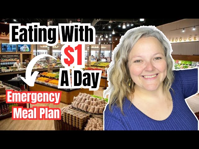 How To Live On $1 A Day In 2024 || Extreme Grocery Budget || Variety & Over a Week Of Meals