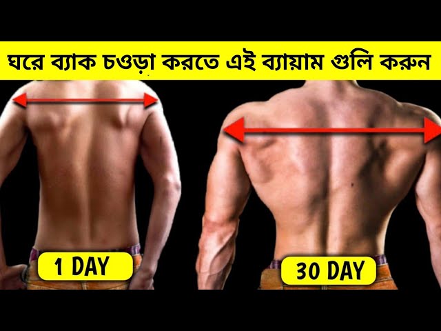 চওড়া শরীর কীভাবে বানাবেন| BACK WORKOUT|Traps, Lats, Back workout | Bangla health tips