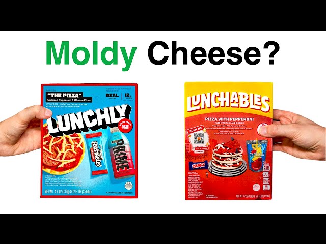 Lunchly vs. Lunchables Review