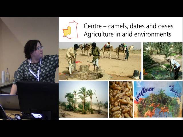 Intangible cultural heritage in Mauritania: sedentarisation, adaptation and ongoing reinvention