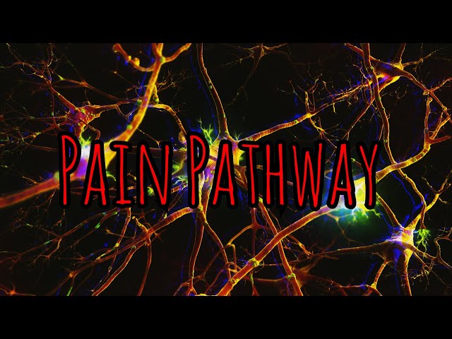 Prolonged Field Care Podcast 144:  Pain Pathway