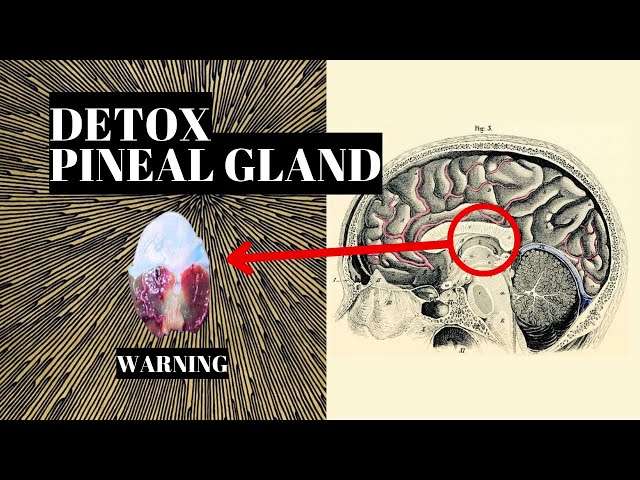 How To Decalcify The Pineal Gland (Third Eye)