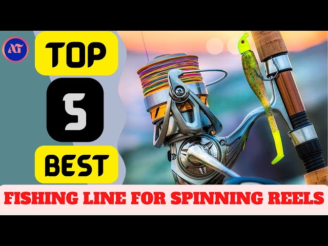 BEST FISHING LINE FOR SPINNING REELS