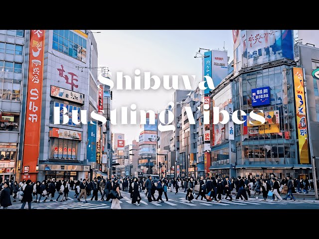 Shibuya Bustling Vibes🏙️Japanese Lofi Relaxation Mix 🎧Find Your Inner Peace In The Vibrant City 🙏