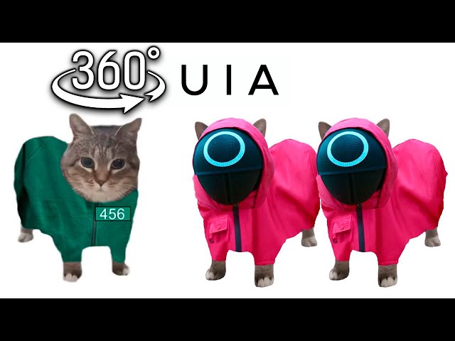 360º VR OIIAOIIA CAT x Mingle Game Song / Uia Cat x Squid Game 2 | OIIAOIIA Cat in Squid Game 2