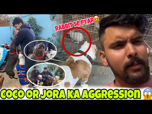 Ritik bhai ki Jora ne kia aggression😳coco se krvai dosti 🔥