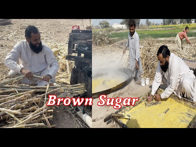 Organic Brown Sugar/Desi Shakkar Making Process in Village | Beautiful Rural Life |Doctor Bhai Vlogs