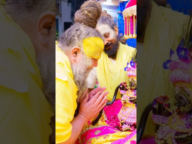 SHREE Radha 🙏🌼 #vrindavanrasmahima #premanandjimaharaj #vrindavan#vrindavan #radheshyam#vrindavanras