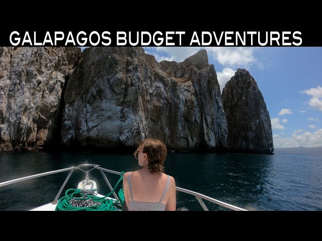 GALÁPAGOS Viaja como un LOCAL en el BARATO #vanlife #underwater