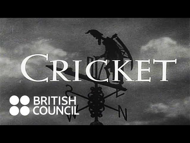 Cricket (1950)