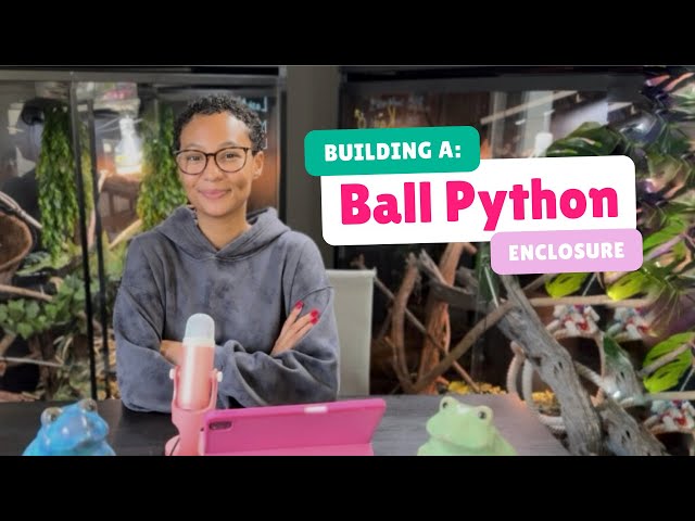 How To Build A: Ball Python Enclosure | EVERYTHING YOU NEED