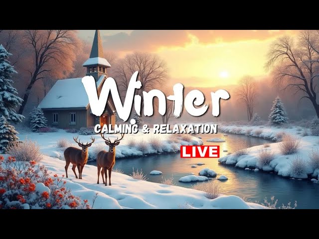 LIVE: Beautiful Relaxing Music, Peaceful Soothing Instrumental Music, in 4k "Winter Wildlife"