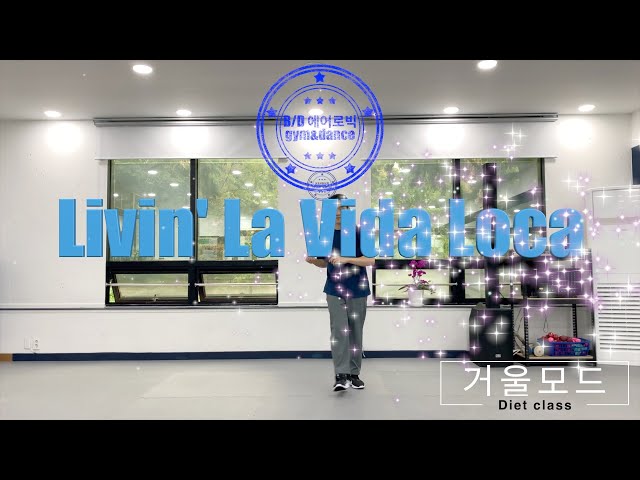 [다이어트댄스] 리키마틴 - Livin' La Vida Loca