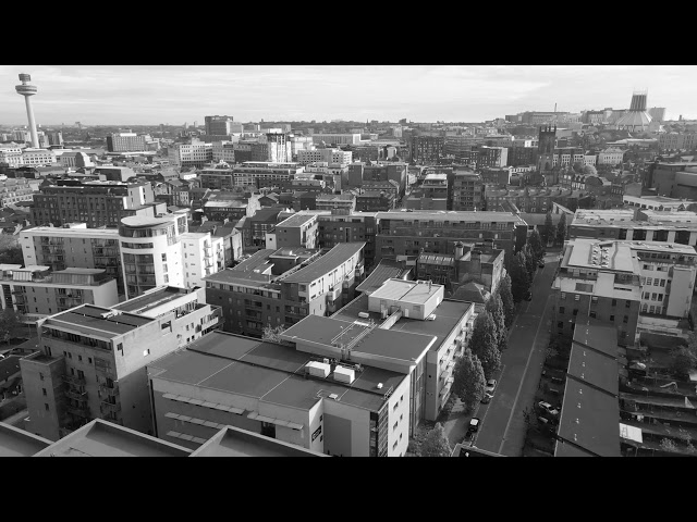 Aerial View of Urban Cityscape in Black and White