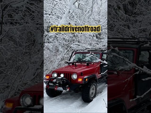 Snow Wheeling Fresh Powder! #youtubeshorts #shorts #traildrivenoffroad #snow #jeep #offroad #jeeptj