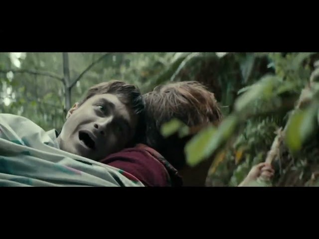 Swiss Army Man