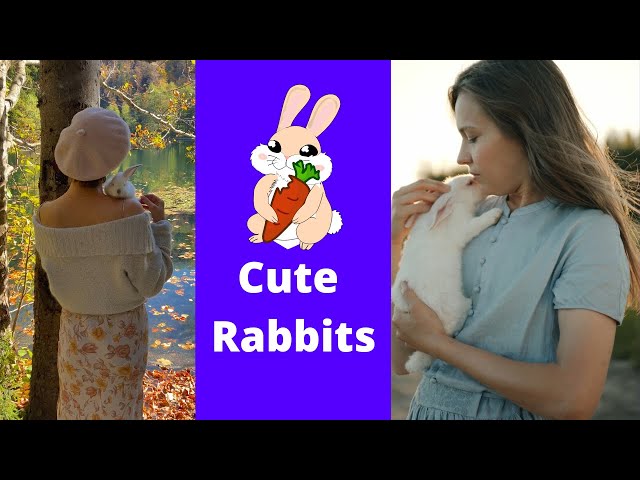 Very Cute Rabbits 🐇 The Cutest Bunnies  🐰 Cute Friendship With Rabbits #srshorts