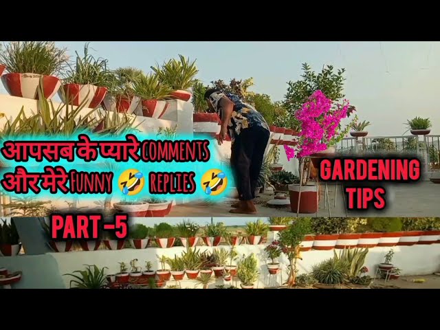 आपसब के comments और मेरे funny replies 🤣🤣Part -5..Gardening with Shahbaz ♥️ #garden #plants