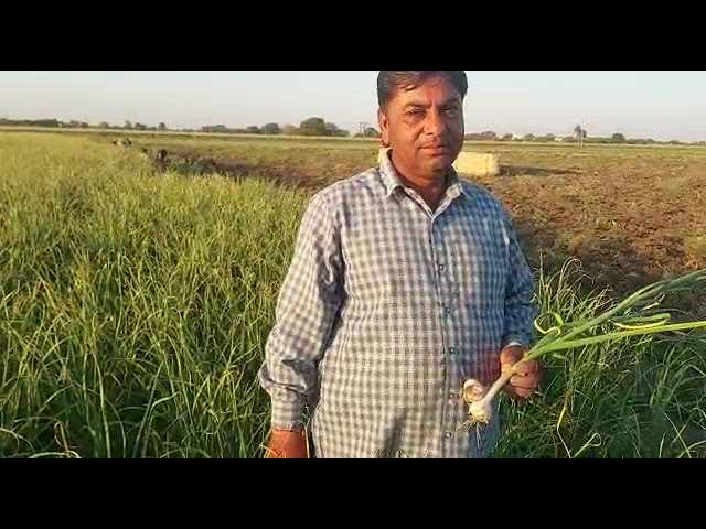 VESTIGE AGRI PRODUCT RESULT #youtube #agriculture #vestige #business #earning #products