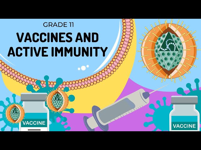 Active immunity: Vaccination and Immunization