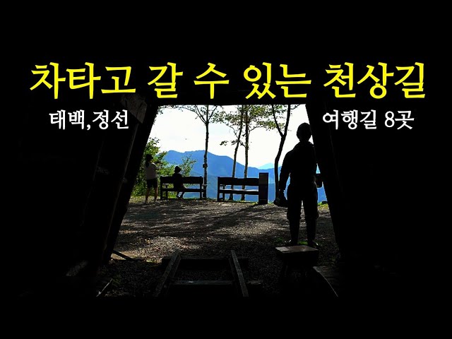 하늘길을 따라가는 산정상 드라이브 코스8곳 /애견동반여행