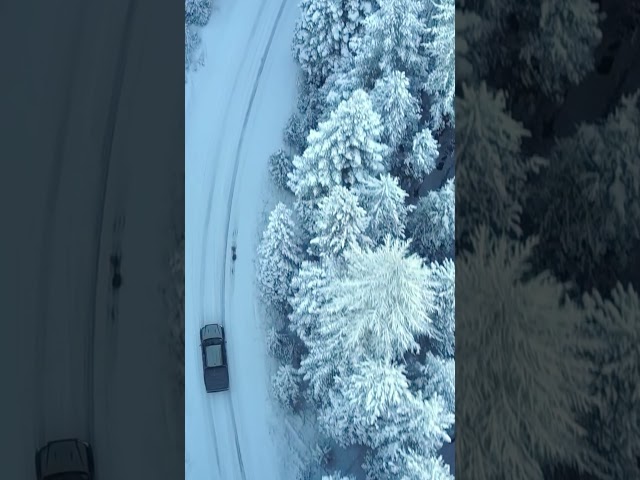 Snowy mountain road in Canada  - travel #shorts #travelling #canada #snow