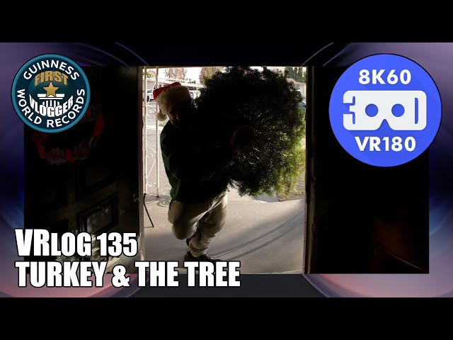 Turkey & The Tree (Entry #2490 - VRLOG 135 - VR180)