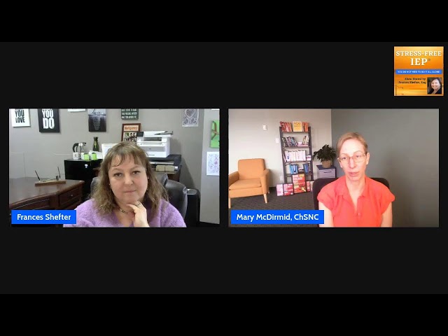 Stress-Free IEP with Mary McDirmid of All Needs Planning