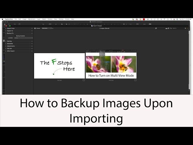 How to Backup Images Upon Importing: Capture One in One Minute