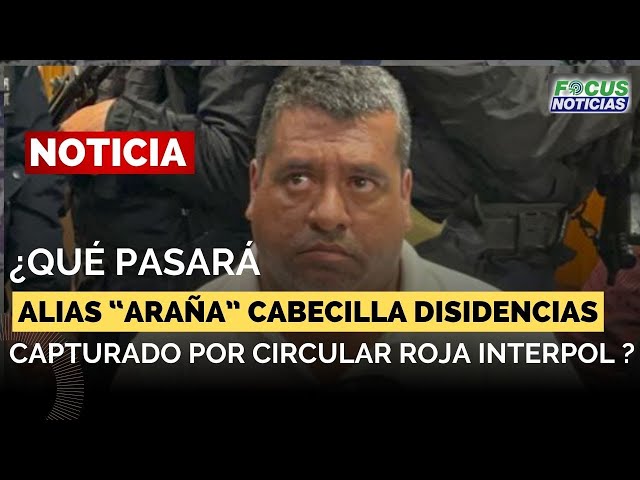 ¿Qué PASARÁ con Alias 'ARAÑA' Cabecilla de las DISIDENCIAS  Capturado Circular ROJA de INTERPOL? #Fo