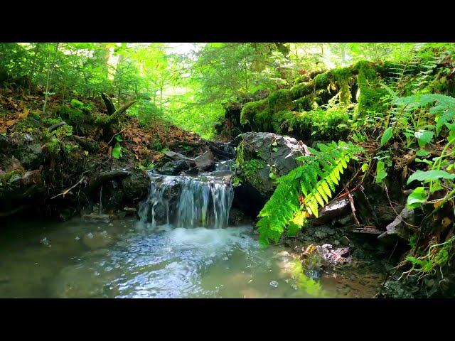 Waterfall Background Video | Nature Background Video | Waterfall Footage | Stock Video Free