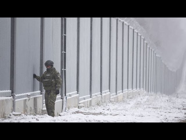 Migration Commissioner open to EU finance for border walls and fences