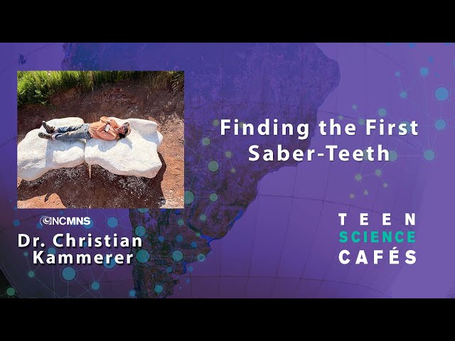 TSC: Finding the First Saber-Teeth