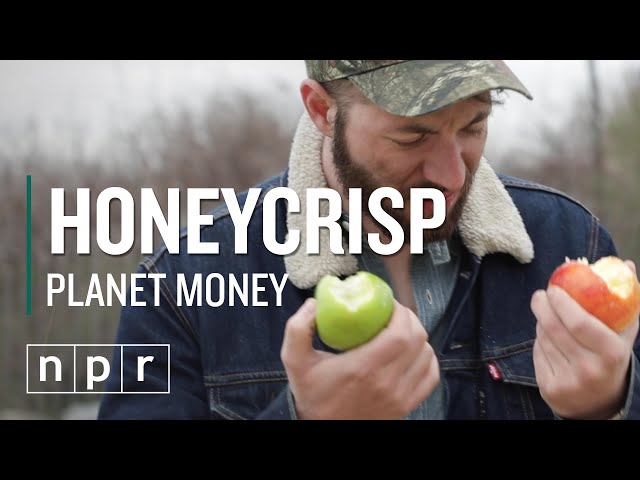 Honeycrisp vs Red Delicious - How We Finally Got Good Apples | Planet Money | NPR