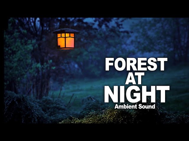 Gentle Night Time Forest Sounds -  Ambient Soundscape -with firestick burning For Sleep & Relaxation