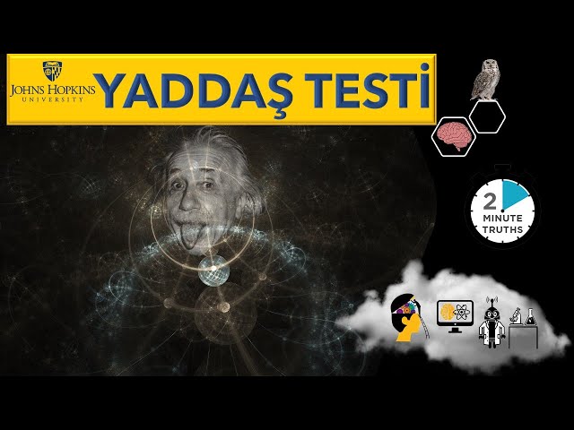 2 dəqiqəlik yaddaş testi - Yaddaş testi 2