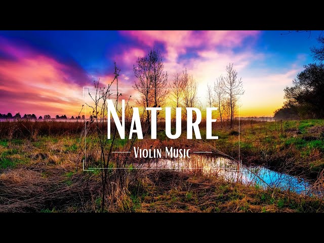 Beautiful Nature Video & Relaxing Music for Stress Relief