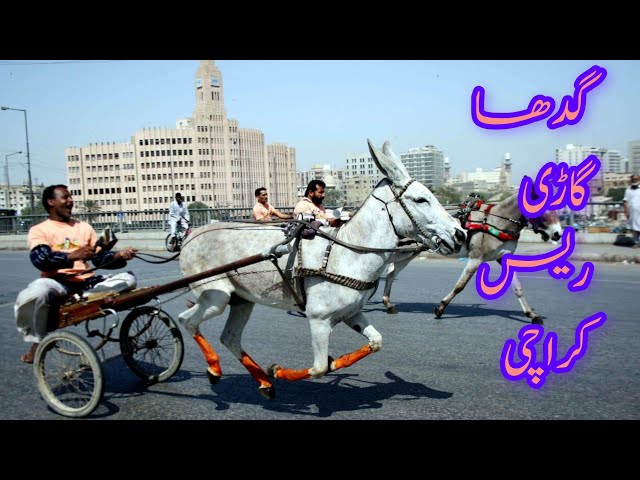 Donkey Cart Race Competition in Lyari Karachi | Donkey Cart Race Competition | Commissioner Karachi