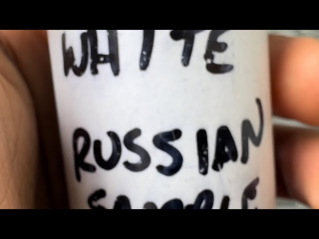 JLITTY’S White Russian