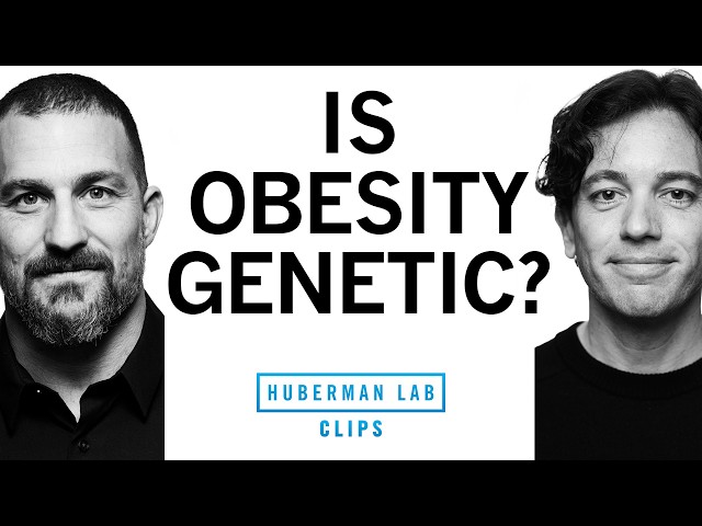 Is Obesity Genetic? | Dr. Zachary Knight & Dr. Andrew Huberman