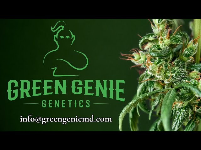 Green Genie Intro - Maryland Cannabis