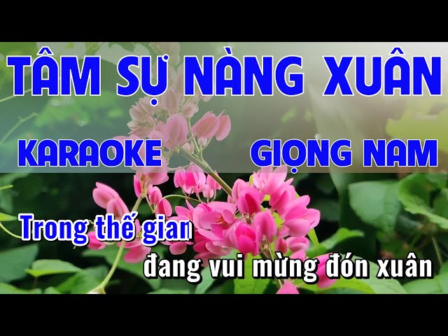 TÂM SỰ NÀNG XUÂN KARAOKE TONE NAM|HẢI HIỀN KARAOKE