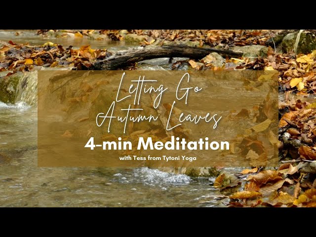 4-Minute Meditation for Letting Go When Your Feeling Stressed & Overwhelmed