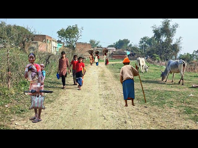 Indian Rural Life In India UP } Life Of The Poorest Villagers In India {  Village Life