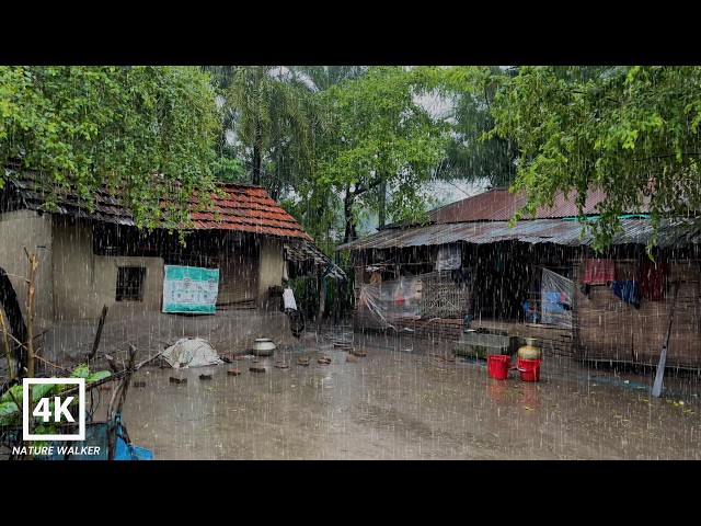 Experience Heavy Rain in a BEAUTIFUL Village!