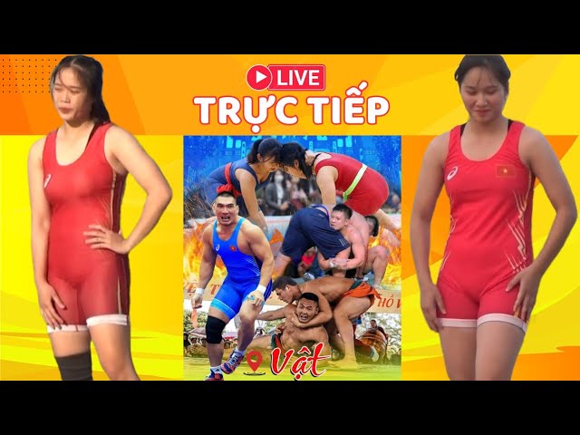 🔴🤼 CHIỀU 11.11 TRỰC TIẾP HỘI VẬT CỔ TRUYỀN PHÙ XÁ, VĂN MÔN, BẮC NINH